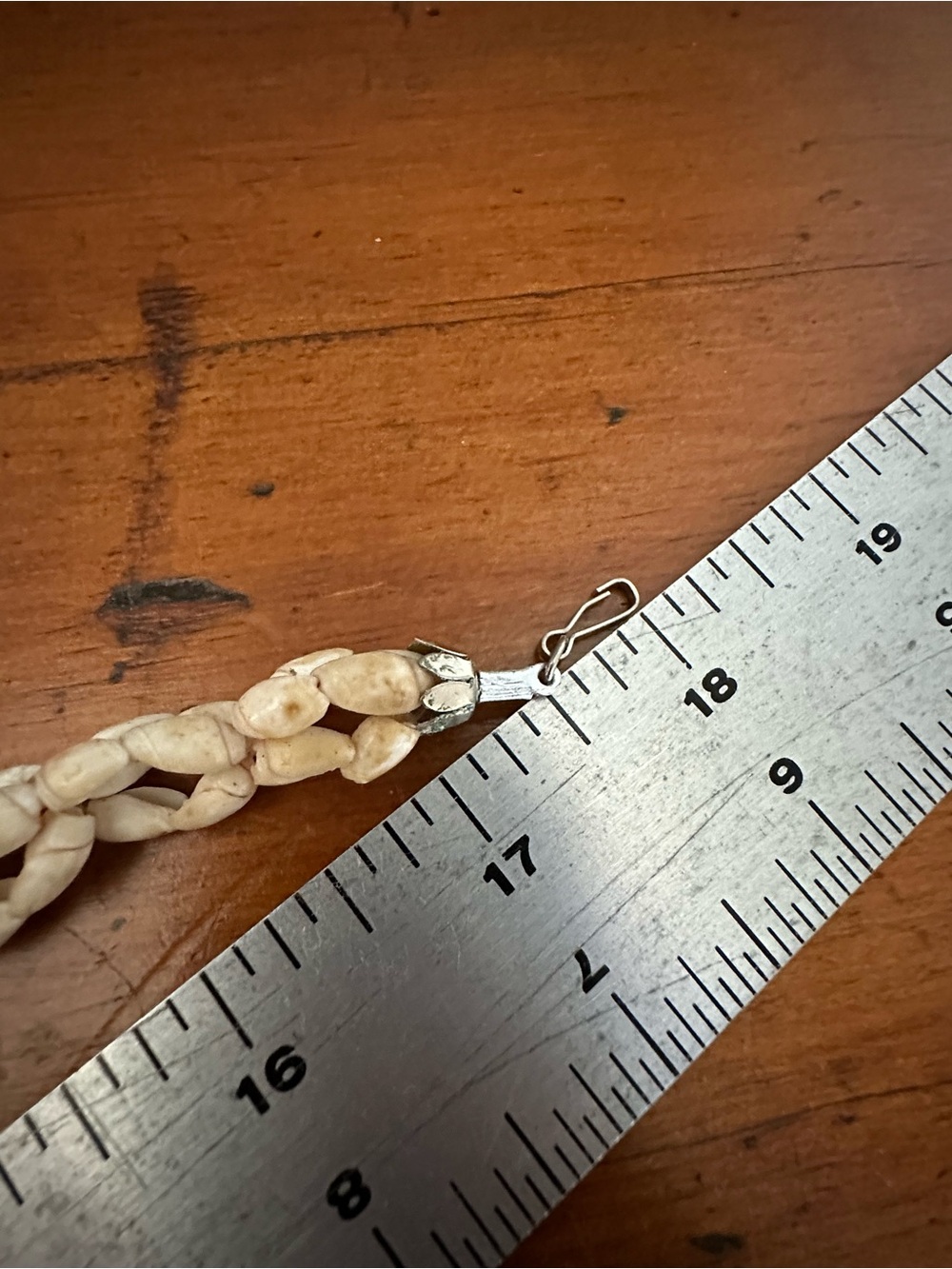 Ocean Washed Shell Necklace - Picture 12 of 13